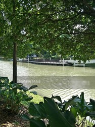 Blk 38C Bendemeer Road (Kallang/Whampoa), HDB 4 Rooms #203343951